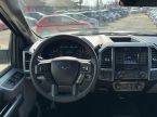 Ford F Series - fotka číslo 14