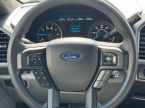 Ford F Series - fotka číslo 17