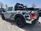 Ford F Series - fotka číslo 6
