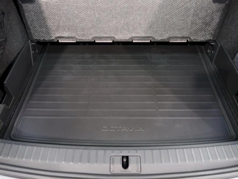 Škoda Octavia - hlavní fotka