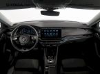Škoda Octavia - fotka číslo 4