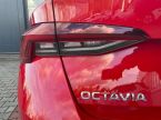 Škoda Octavia - fotka číslo 8