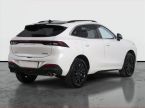 Dongfeng T5 EVO - fotka číslo 4
