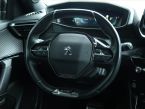 Peugeot 2008 - fotka číslo 21