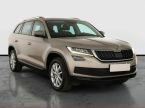 Škoda Kodiaq - fotka číslo 0