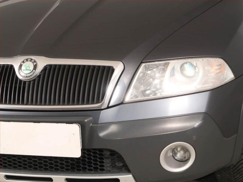 Škoda Octavia - hlavní fotka