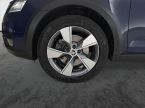 Škoda Octavia - fotka číslo 14