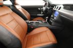 Ford Mustang - fotka číslo 6