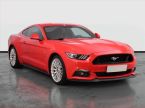 Ford Mustang - fotka číslo 0