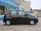 Fiat Panda - fotka číslo 5