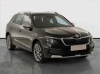 Škoda Kamiq - fotka číslo 0