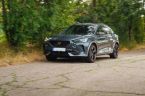 Cupra Formentor - fotka číslo 29