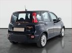 Fiat Panda - fotka číslo 4