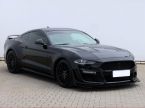 Ford Mustang - fotka číslo 0