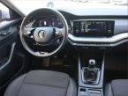 Škoda Octavia - fotka číslo 6