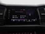 Škoda Kodiaq - fotka číslo 13