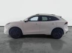 Dongfeng T5 EVO - fotka číslo 2