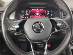 Škoda Kodiaq - fotka číslo 21