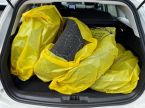 Ford Focus - fotka číslo 5
