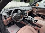 Aston Martin DBX - fotka číslo 11