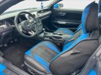 Ford Mustang - fotka číslo 17