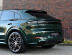 Porsche Cayenne - fotka číslo 23