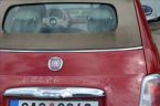 Fiat 500 - fotka číslo 25