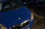 Škoda Fabia - fotka číslo 14