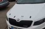 Škoda Octavia - fotka číslo 6