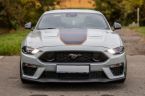 Ford Mustang - fotka číslo 1