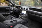 Ford Mustang - fotka číslo 19
