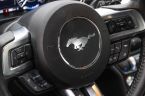 Ford Mustang - fotka číslo 33