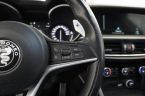 Alfa Romeo Stelvio - fotka číslo 17