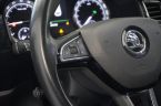 Škoda Kodiaq - fotka číslo 14