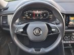 Škoda Kodiaq - fotka číslo 14