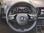Škoda Karoq - fotka číslo 15