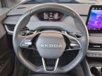 Škoda Enyaq - fotka číslo 19