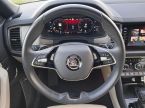 Škoda Kodiaq - fotka číslo 29