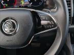 Škoda Kodiaq - fotka číslo 28