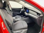 Škoda Octavia - fotka číslo 7