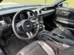 Ford Mustang - fotka číslo 9