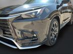 Lexus TX 500h - fotka číslo 6