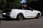 Ford Mustang - fotka číslo 9