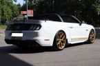 Ford Mustang - fotka číslo 10