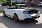 Ford Mustang - fotka číslo 12