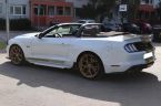 Ford Mustang - fotka číslo 13