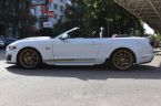 Ford Mustang - fotka číslo 14
