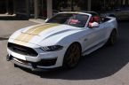 Ford Mustang - fotka číslo 16