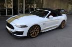 Ford Mustang - fotka číslo 17