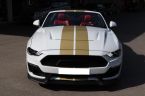Ford Mustang - fotka číslo 1